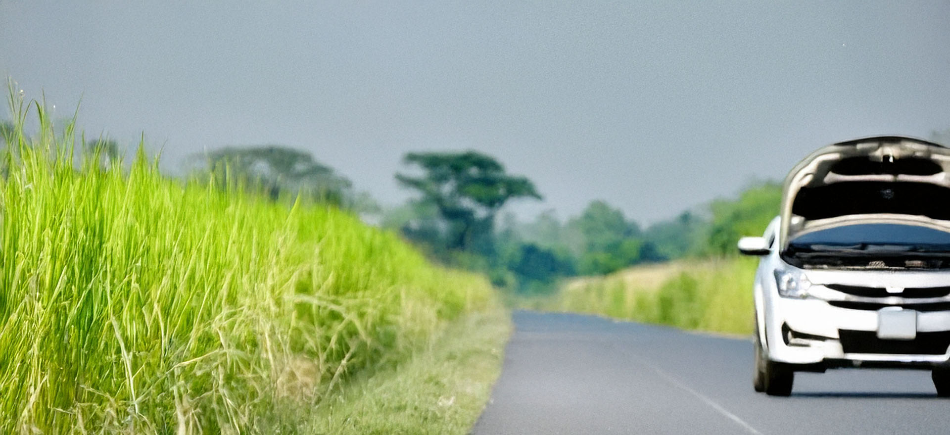 What to Do If Your Car Overheats